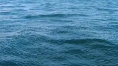 Okyanusun mavi dalgalarını ekin 