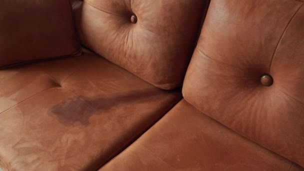 Spilled Cup Coffee Sofa — Stock video
