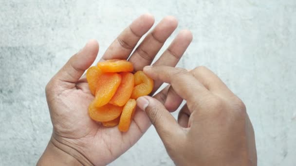 Ansicht Von Hand Pflücken Aprikosenfrüchte — Stockvideo