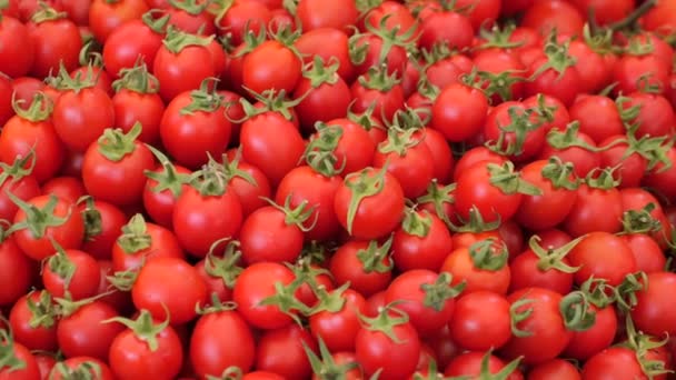 Venda Tomate Cereja Mercado Agricultores — Vídeo de Stock