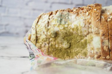 Küf, beyaz arka planda küflü ekmek üzerinde büyüyor