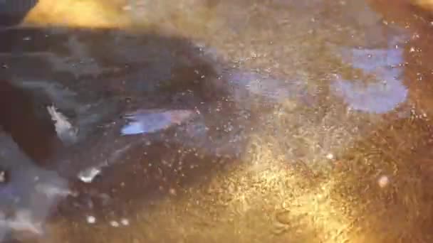 大規模な調理鍋で使用された野菜油 — ストック動画