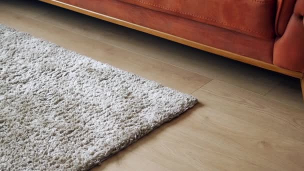 Naadloze Tapijt Textuur Achtergrond Houten Vloer Met Sofa Een Woonkamer — Stockvideo