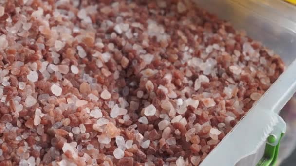 Raw Dried Pink Himalayan Salt — Vídeo de Stock
