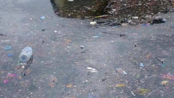 Water Pollution Garbage Water — Stock Video