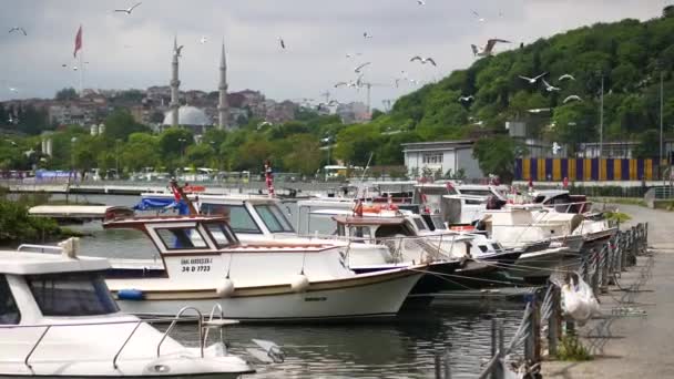 イスタンブールの川にボートドック — ストック動画