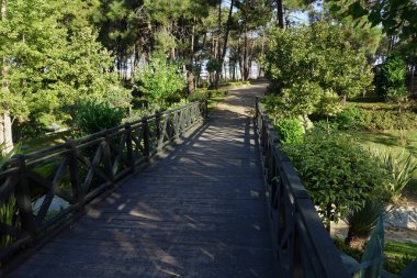 Sabahın erken saatlerinde yürüyüş yolu olan şehir parkları ,