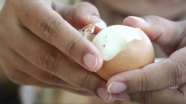 women hand perfectly Peeled Boiled Eggs .