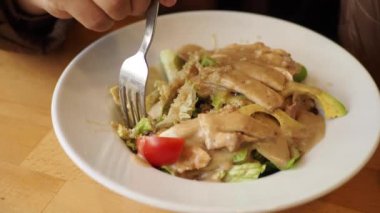 Sebze Izgara Tavuk salatası ,