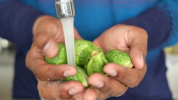 Mulheres Mão Lavam Brotos Bruxelas Crus Verdes Uma Pia — Vídeo de Stock