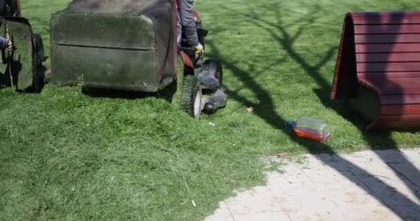 Rasenmähen Mit Maschine Arbeiter Trimmt Garten Mit Rasenmäher — Stockvideo