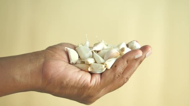 Garlics Frescos Mão Contra Fundo Amarelo Claro — Vídeo de Stock