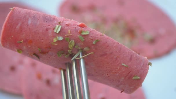 Salami Sausage Cut Thin Pieces — Vídeo de Stock