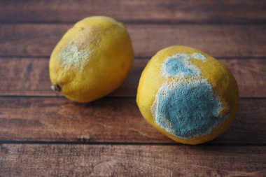 Masadaki kalıplı limonu kapat 