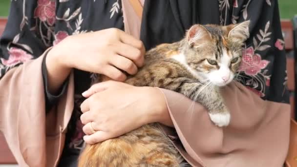 Mulher Abraçando Seu Gato Pessoas Viver Com Gato — Vídeo de Stock