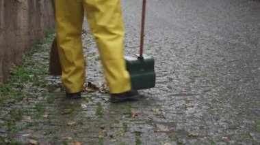 cleaning the fallen leaves in the park.