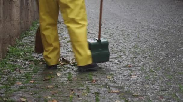 Cleaning Fallen Leaves Park — Stockvideo