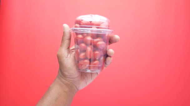 Cherry Tomaat Een Plastic Pot Rode Achtergrond — Stockvideo