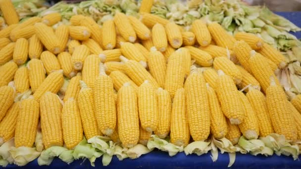 Mnoho Čerstvé Zralé Kukuřice Prodávají Týdenním Obchodě Istanbulu — Stock video