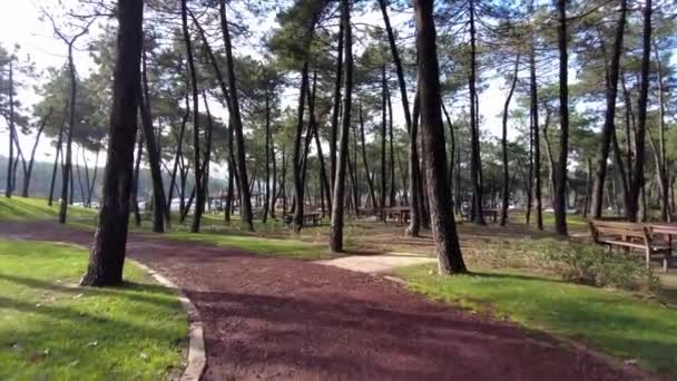Punto Vista Colpo Camminare Sulla Passerella Parco Istanbul Mattino Presto — Video Stock