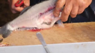 balıklar masada Dilimleme işçiler