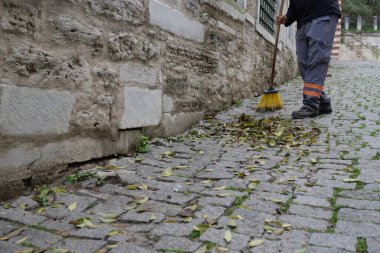 cleaning the fallen leaves in the park.