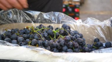 Meyve dükkanında olgun sulu siyah üzüm demeti .