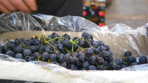 Ripe Juicy Black Grape Bunch Fruit Shop — Stock Video