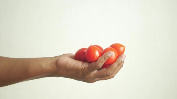 Mão Pegar Tomate Cereja Contra Parede — Vídeo de Stock