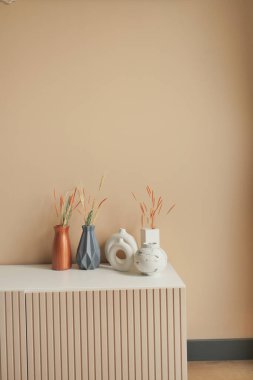 Açık turuncu renkli duvara karşı ev dekorasyonu 