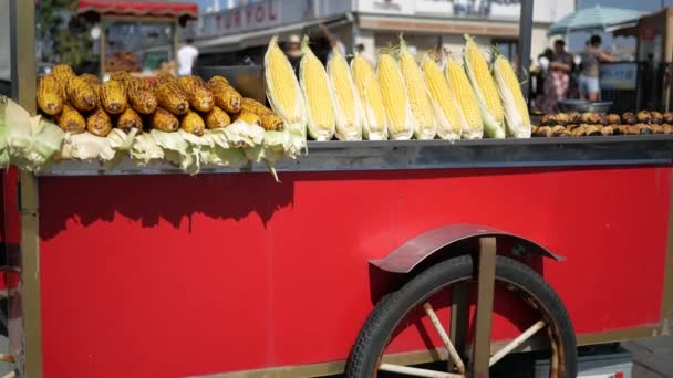 Türkei Istanbul Juni 2023 Ein Straßenhändler Verkauft Gerösteten Mais Der — Stockvideo