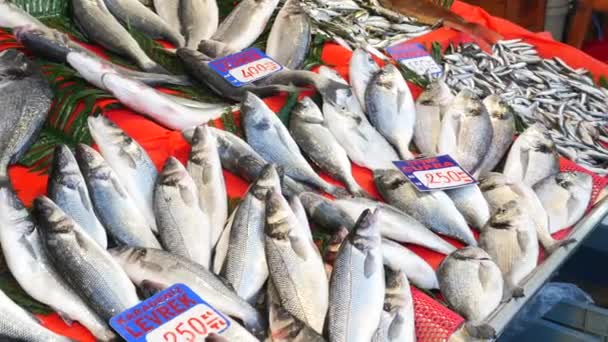 Peixe Fresco Gelo Loja Mercado Local — Vídeo de Stock