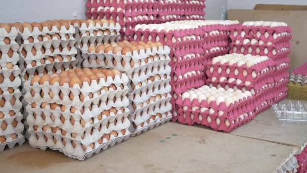 Яйця Супермаркеті Багато Яєць Картонних Лотків — стокове відео