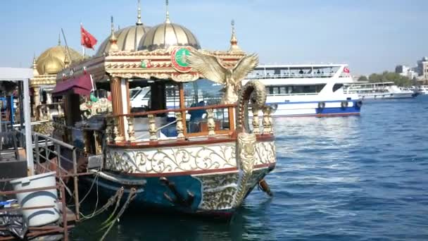Törökország Istanbul Július 2023 Történelmi Hajók Amelyek Halat Árulnak Isztambulban — Stock videók