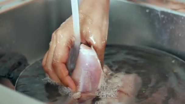 Жіночі Руки Миття Очищення Курячих Грудей — стокове відео