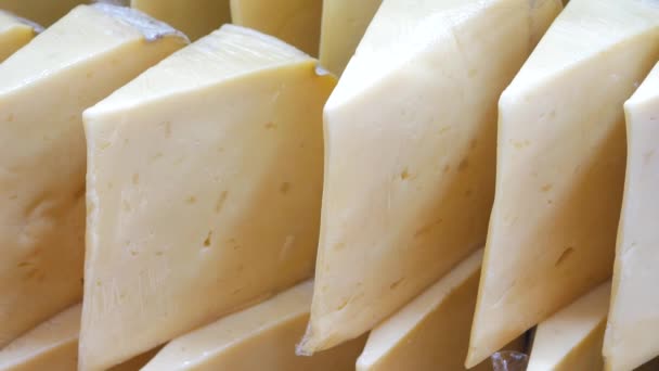 Viele Käsesorten Schaufenster — Stockvideo