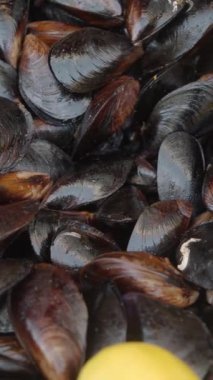 Fresh Black Shell Recipe With Lemon Turkish Food.