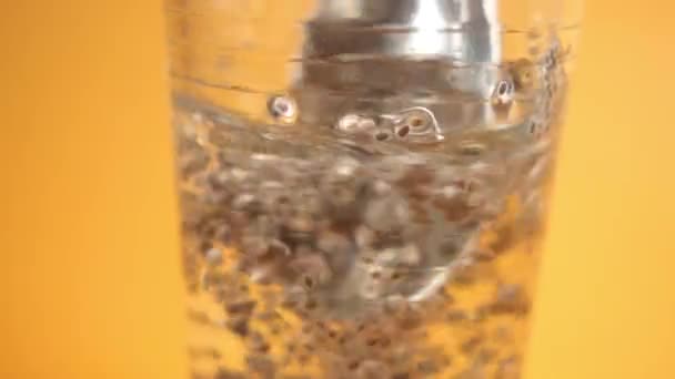 Close Chia Seed Container — Stock video