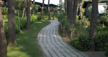 Sabah İstanbul Parkı 'nda yürürken pov fotoğrafı. .