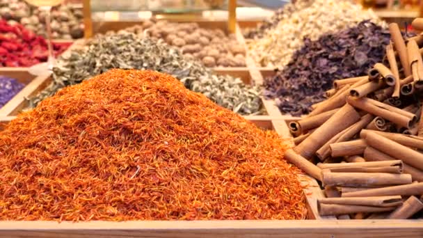 Various Spices Store Istanbul — Stock Video