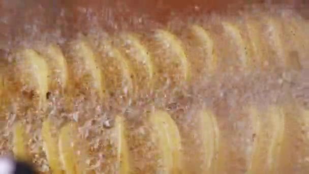 Stekt Potatis Friterad Kokande Het Olja Fritös — Stockvideo