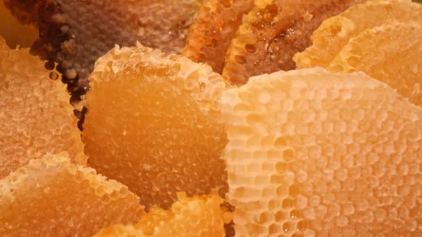 Close Fresh Honey Comp Jar — Stock Video