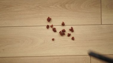 Kadın yer tozunu elektrikli süpürgeyle temizliyor.