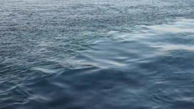 Deniz dalgaları ekin .