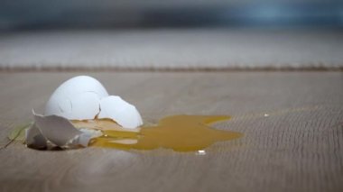Mutfak zemininde taze kırılmış yumurta..