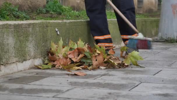 Cleaning Fallen Leaves Park — Video Stock