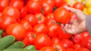 Kadınlar pazarda olgun domates seçiyor.,