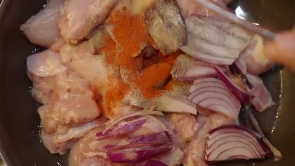 Покласти Спеції Курятину Приготування Їжі — стокове відео