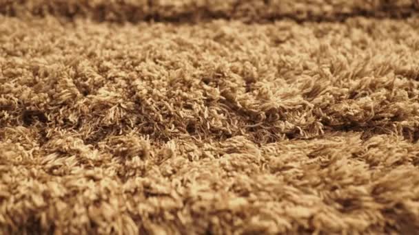 Tło Tekstury Dywanu Drewnianej Podłodze Przestrzenią Kopiowania — Wideo stockowe