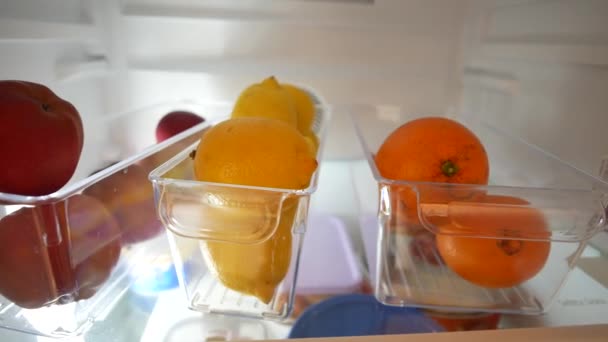 Kunststoffbehälter Mit Verschiedenen Früchten Offenen Kühlschrank — Stockvideo